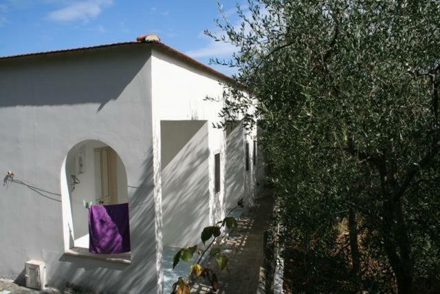 Casa Vacanze Pizzone Apartment Пешичи Екстериор снимка